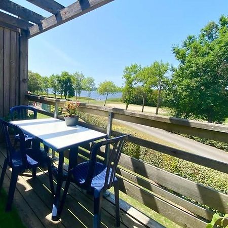 Les Terrasses Du Lac Piscine Et Vue Lac A4 Aureilhan  Exteriör bild