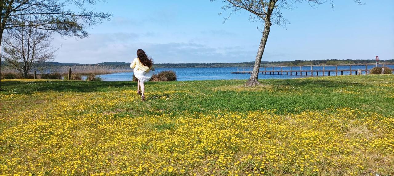 Les Terrasses Du Lac Piscine Et Vue Lac A4 Aureilhan  Exteriör bild